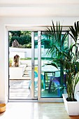 House plants in front of sliding French doors; view of sunny terrace with colourful plastic chairs
