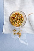 Wheat grains in a sprouting jar