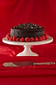 Chocolate Ganache Cake with Chocolate Shavings and Raspberries