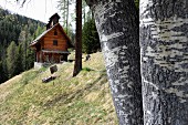 Kleine Holzhütte im Wald, Val Sinestra im Kanton Graubünden, Schweiz