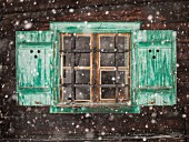 Green-painted shutters on window with metal lattice