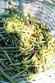 Gathered pine flowers in wicker basket