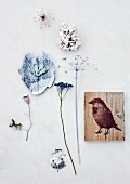 Painted, dried flowers and picture of sparrow on wooden board
