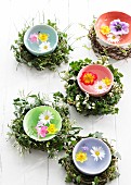 Spring flowers floating in colourful bowls of water surrounded by wreaths