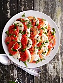 Tomaten mit Mozzarella & Basilikum (Aufsicht)