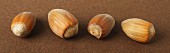 Four hazelnuts