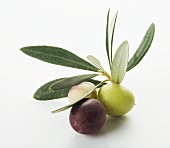 Olives with olive leaves