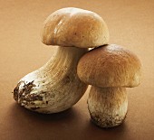 Two ceps