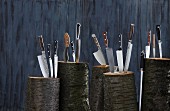 Assorted kitchen knives stuck in logs