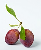 Two plums