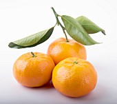 Three mandarin oranges