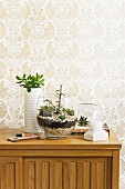 Glass bowl planted with succulents on wooden sideboard arranged against floral, beige patterned wallpaper