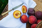 Fresh peaches with a towel and a knife