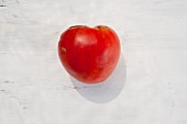 A tomato of the variety 'Gruschovka'