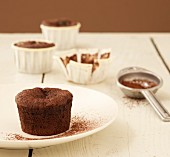 Individual chocolate cakes