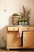 Primulas in small zinc pots on rustic cabinet