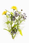 Borage, dill and marigolds
