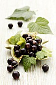 Blackcurrants with leaves in a leaf-shaped bowl