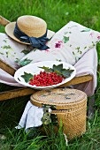 A deckchair with cushions, a straw hat and redcurrants, next to a picnic basket