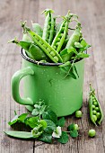 Fresh pea pods in a green enamel pot