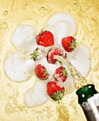 Sparkling wine being poured over strawberries