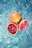 Rosa Grapefruits im Wasser