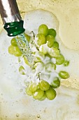 Sparkling wine being poured over green grapes