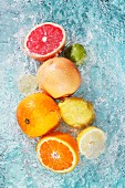 Assorted citrus fruits in water