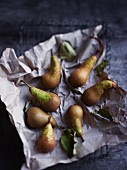 Pears on paper