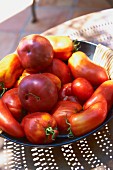 Frische Tomaten in einer Schüssel