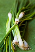 Spring onions