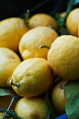 A heap of lemons