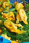 Courgette flowers in a basket