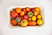 Assorted colours of tomato in a cardboard punnet