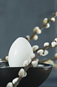 A white egg in a bowl between twigs of pussy willow