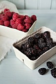 Blackberries and raspberries in cardboard punnets