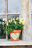 Yellow horned violets in terracotta pot decorated with heart motif made from peas