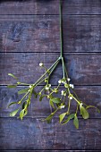 A sprig of mistletoe on a wooden wall
