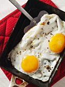 Poached eggs in a pan