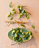 Fresh walnuts in green husks on a checked tablecloth (view from above)
