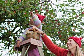 Mutter mit Tochter auf Leiter bei der Apfelernte