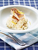 Risotto with zander and lemon zest
