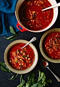 Tomato soup with chickpeas, onions and basil
