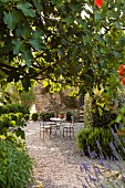 Summer atmosphere in idyllic seating area outside Italian holiday home