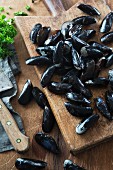 Fresh mussels on a chopping board