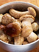 Freshly washed porcini mushrooms in a saucepan
