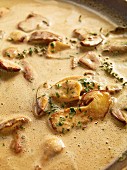Porcini mushrooms in creamy sauce with thyme