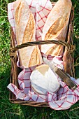 Baguettes and Camembert in a picnic basket in a field (seen from above)