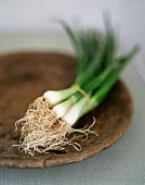 A bunch of spring onions on a wooden plate