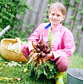 Girl carrying root vegetables, Sweden.